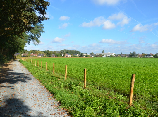 trage wegen