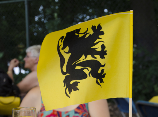 vlag